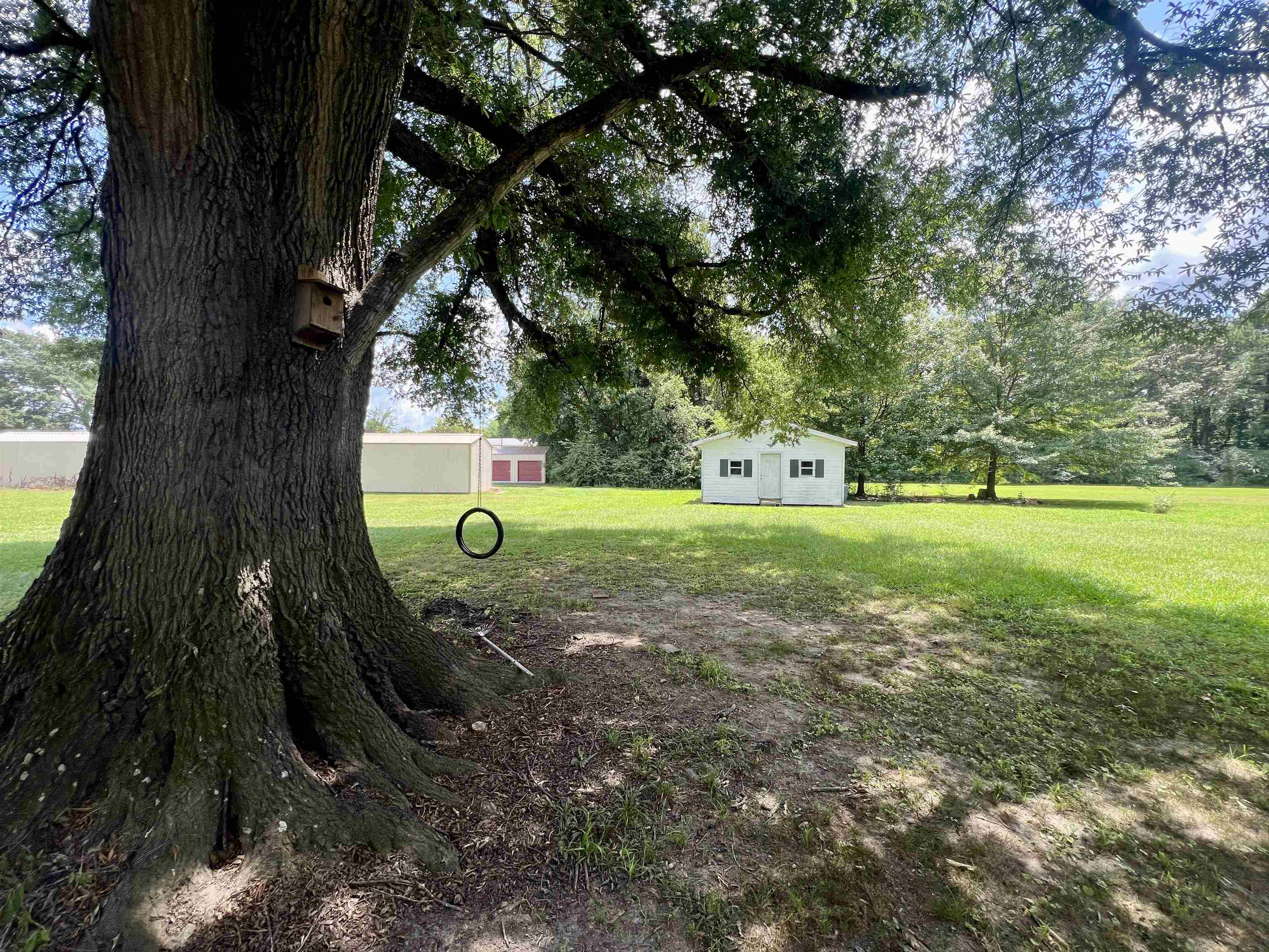 250 Ranch Street Savannah, TN 38372 - Photo 25 of 29 a backyard of a house with lots of green space