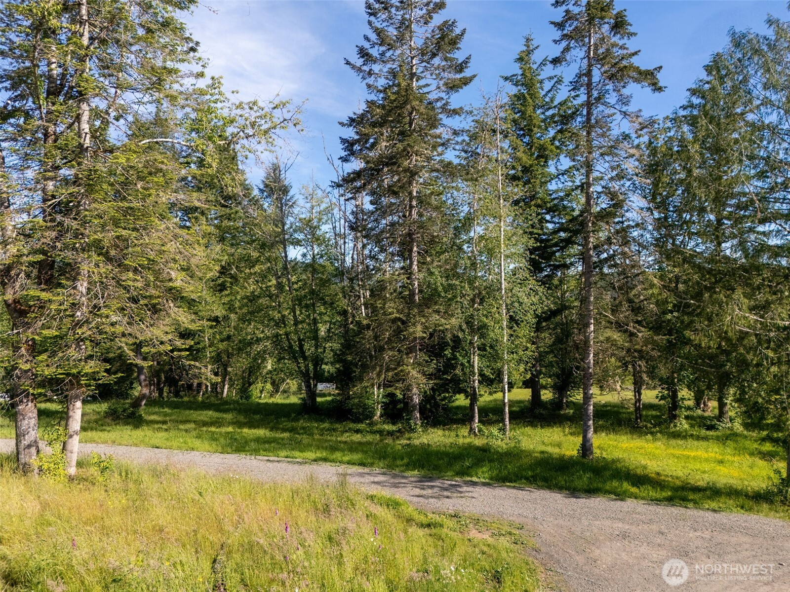9999 Leland Valley Road West Quilcene, WA 98376 - Photo 4 of 40