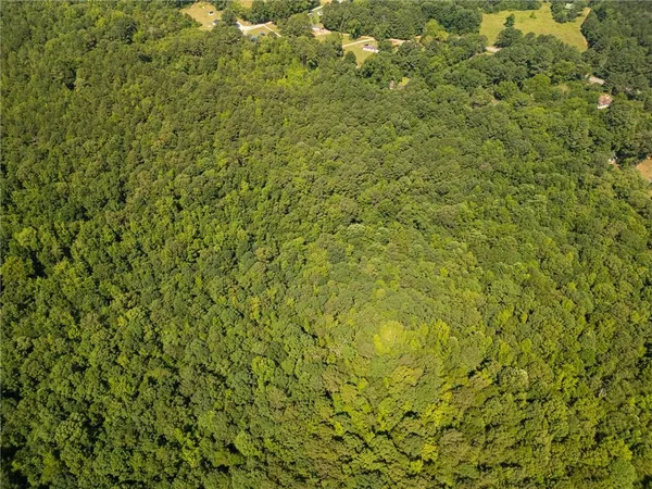 a view of a big yard