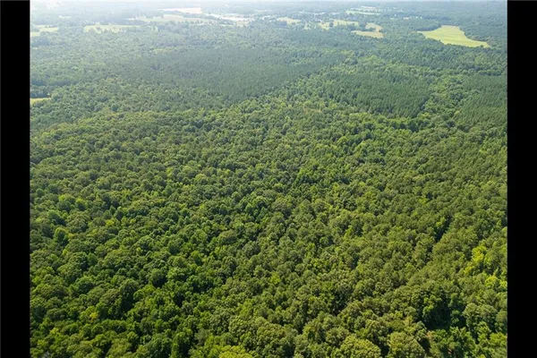 a view of a green field with lots of bushes