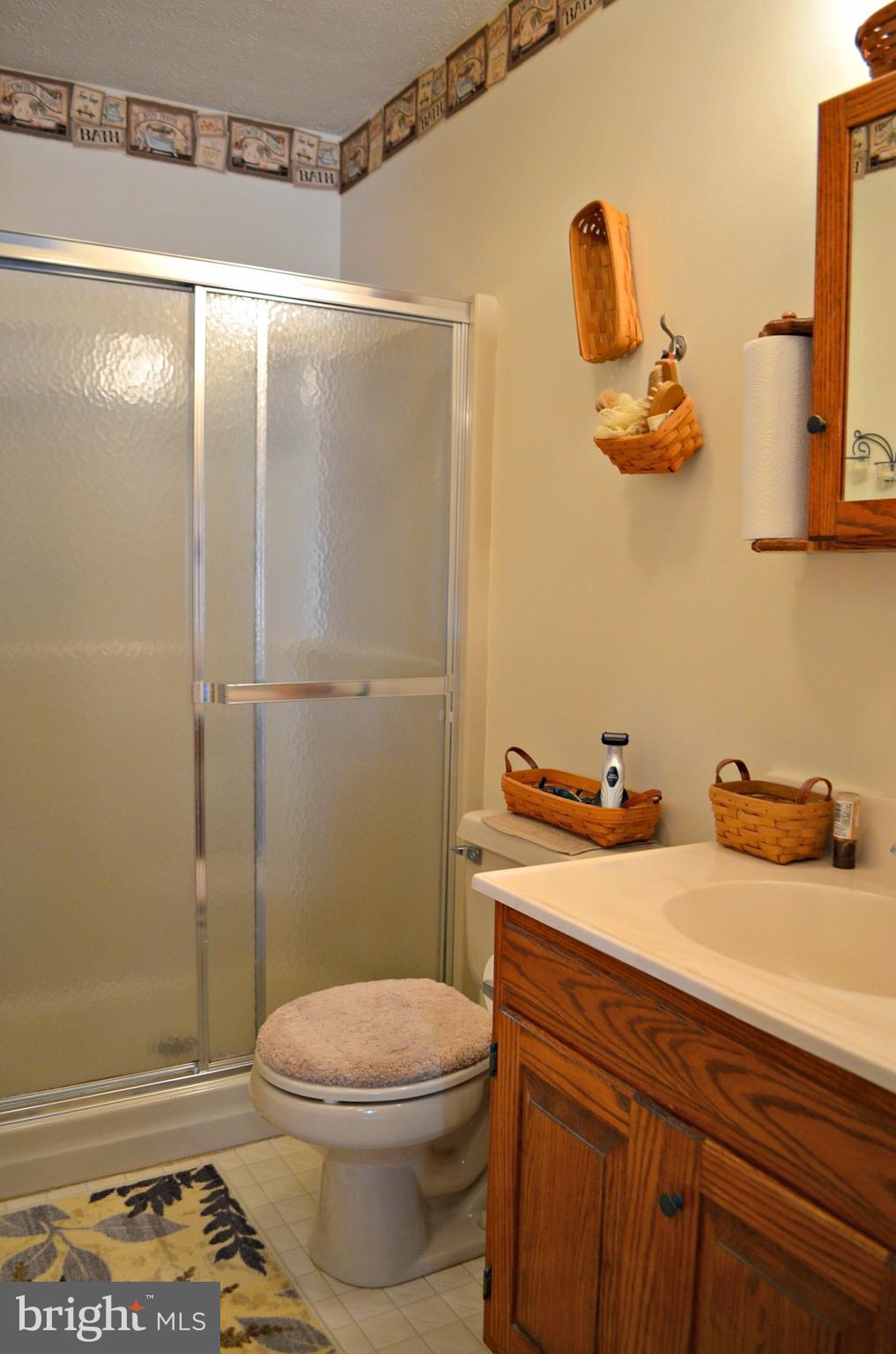 827 Fairbee Road Berkeley Springs, WV 25411 - Photo 11 of 30 Bath (Master)