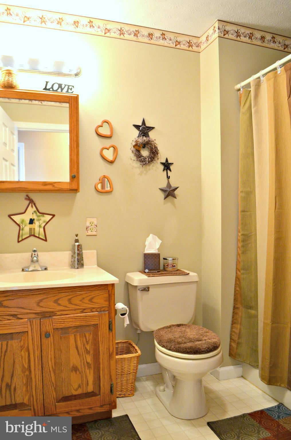 827 Fairbee Road Berkeley Springs, WV 25411 - Photo 14 of 30 Main Level Bath