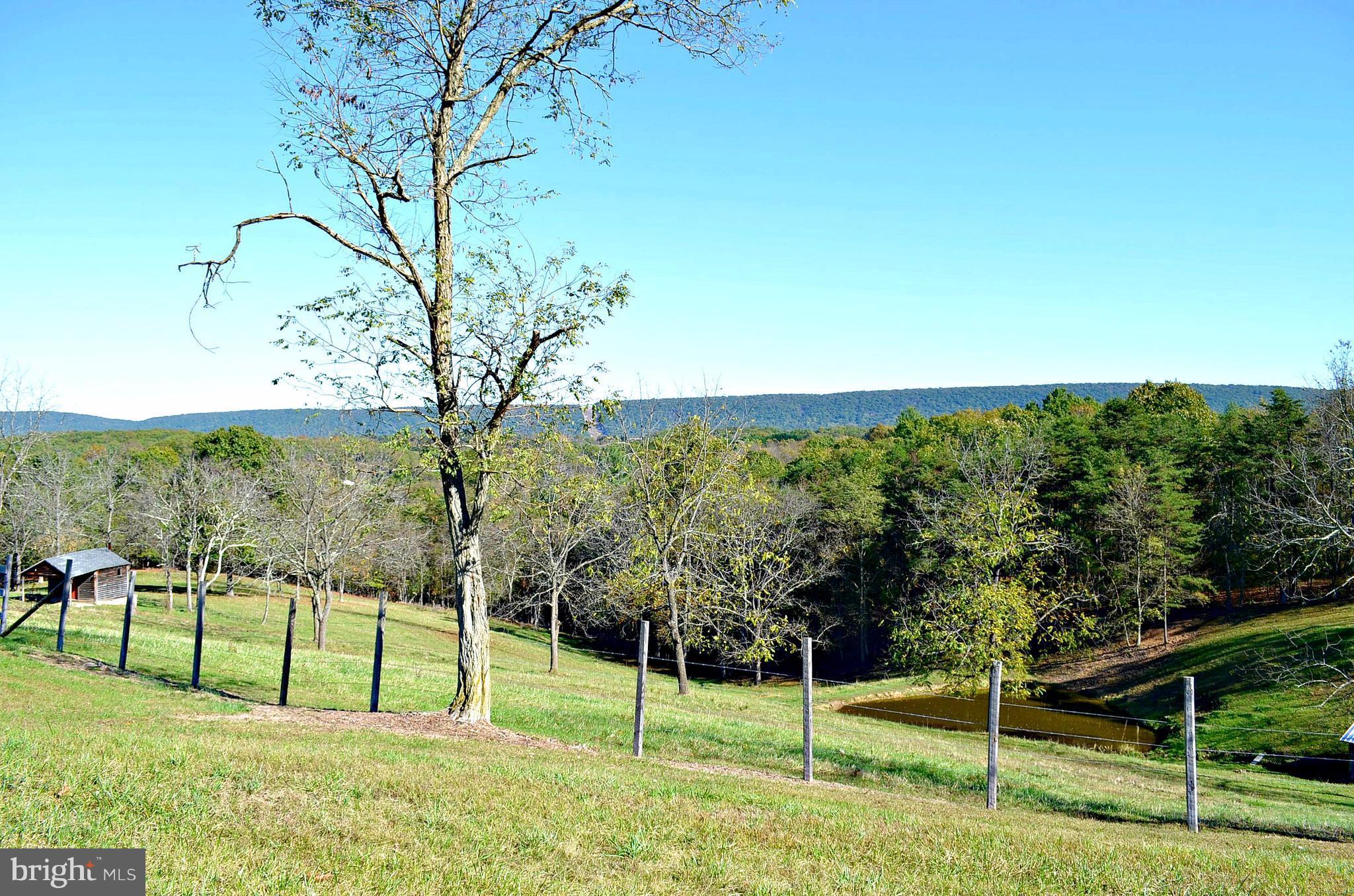 827 Fairbee Road Berkeley Springs, WV 25411 - Photo 21 of 30 Pond and Fencing for Cows and or Horses