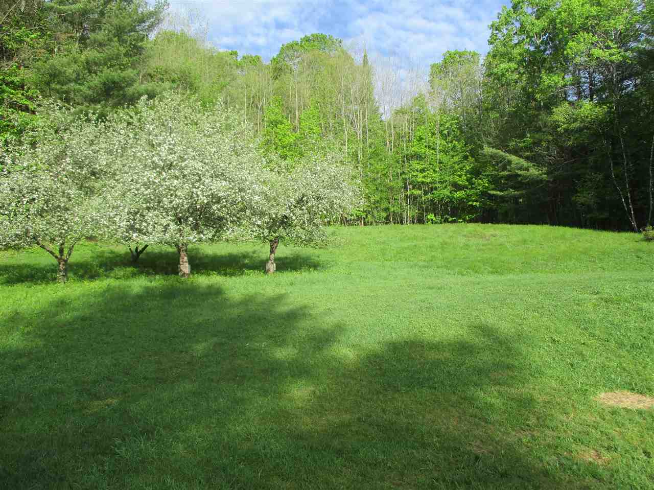 475 Twin Pond Road Brookfield, VT 05036 - Photo 9 of 23
