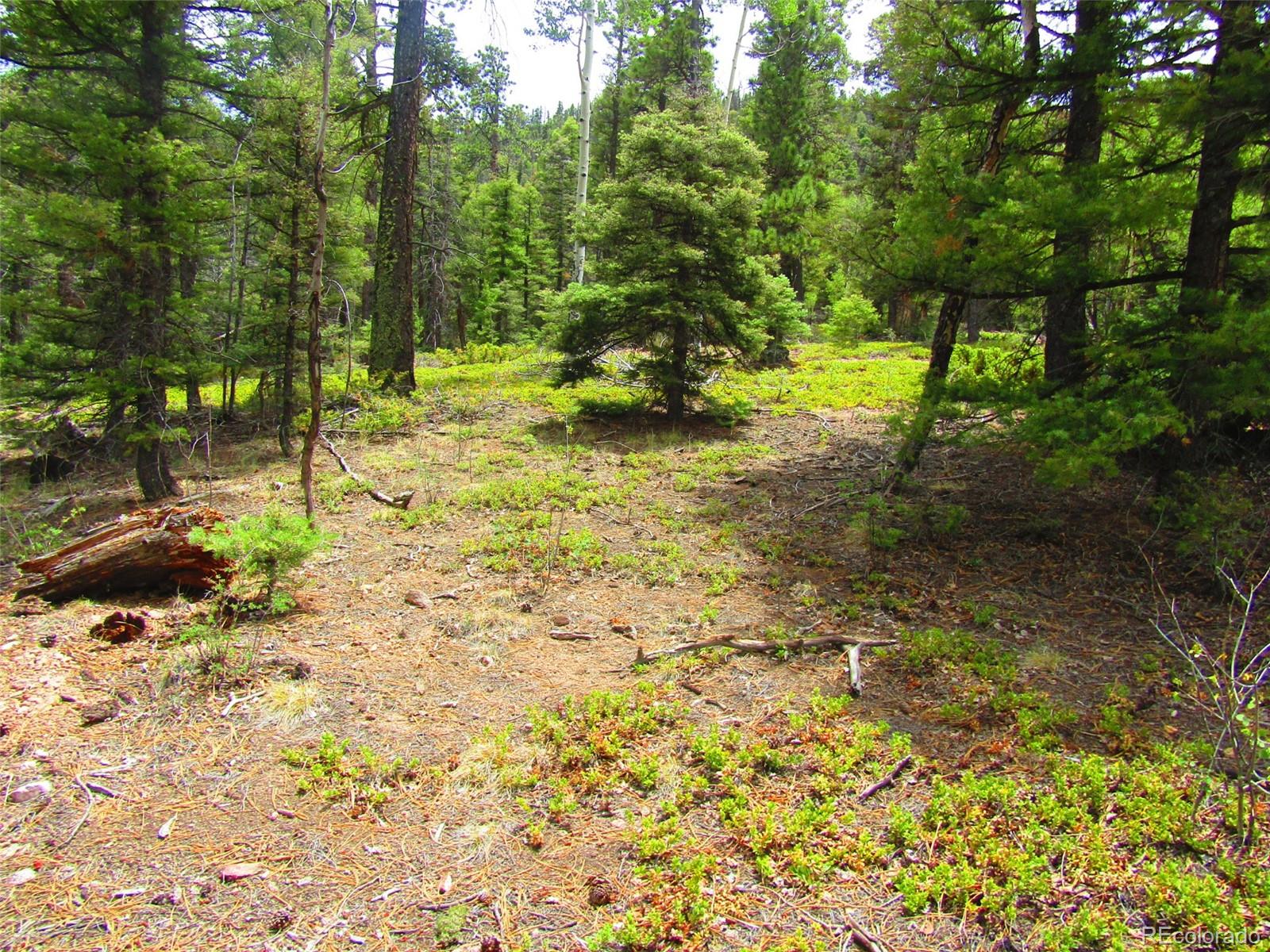 Lot 6028 Spruce Roads San Luis, CO 81152 - Photo 22 of 26