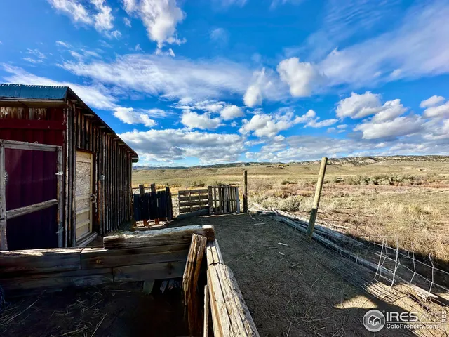 a view of a yard with plants