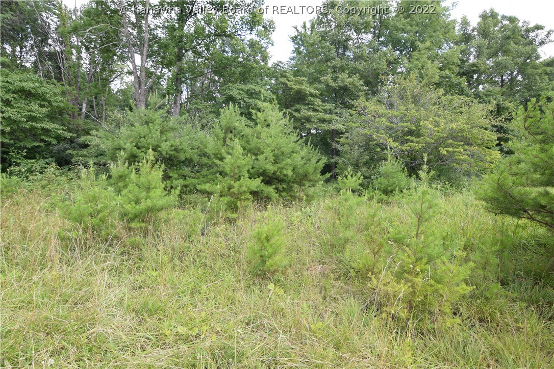 1550 Watts Chapel Road Kenna, WV 25248 - Photo 2 of 6 Gallery Image 2