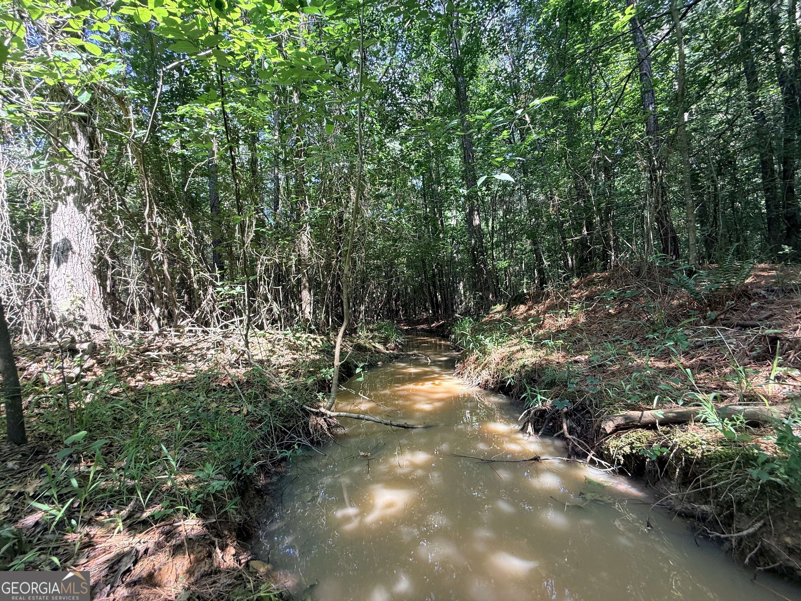 2 Bethesda Church Road Lexington, GA 30648 - Photo 37 of 66