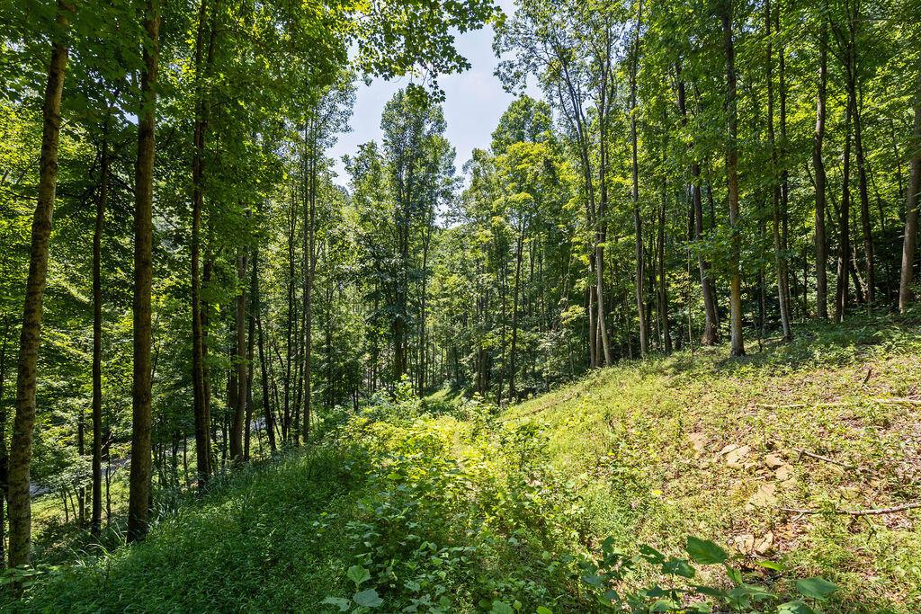 24272 Conrad Road Laurelville, OH 43135 - Photo 28 of 32 28-Walking Path-7