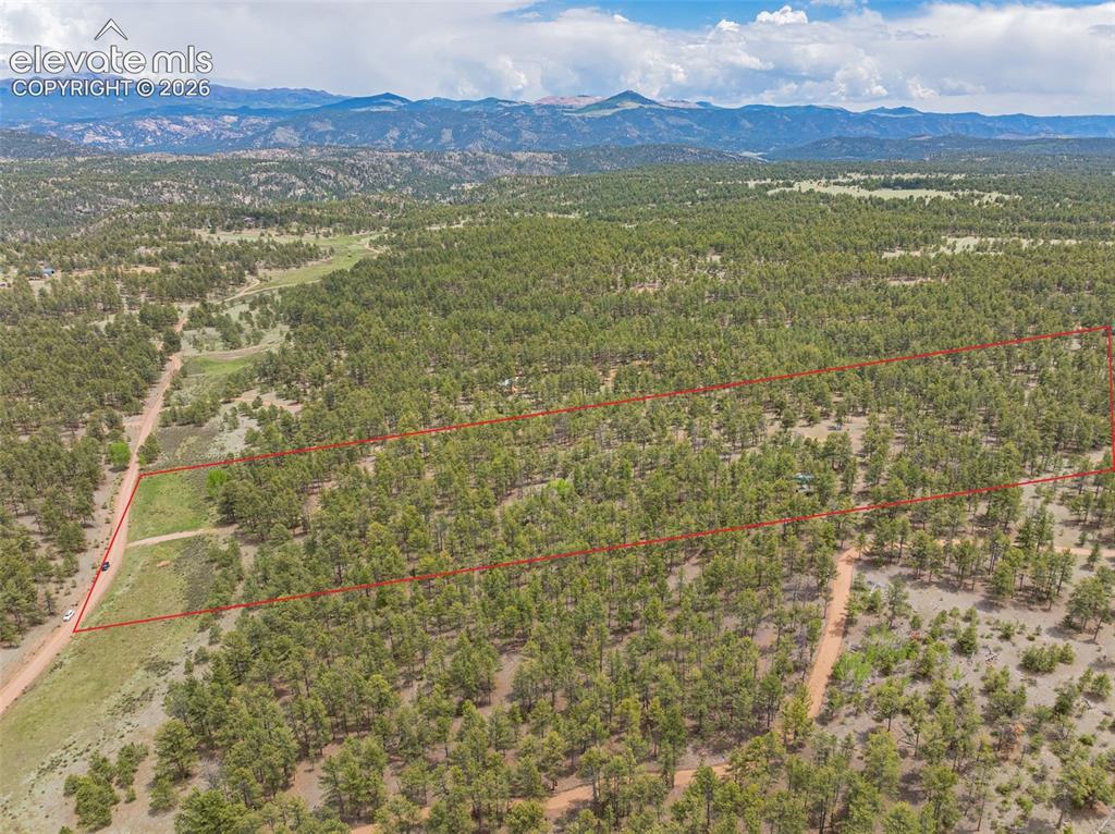 4250 Doe Valley Road Guffey, CO 80820 - Photo 34 of 35 Property lines are for reference only, not actual depiction.