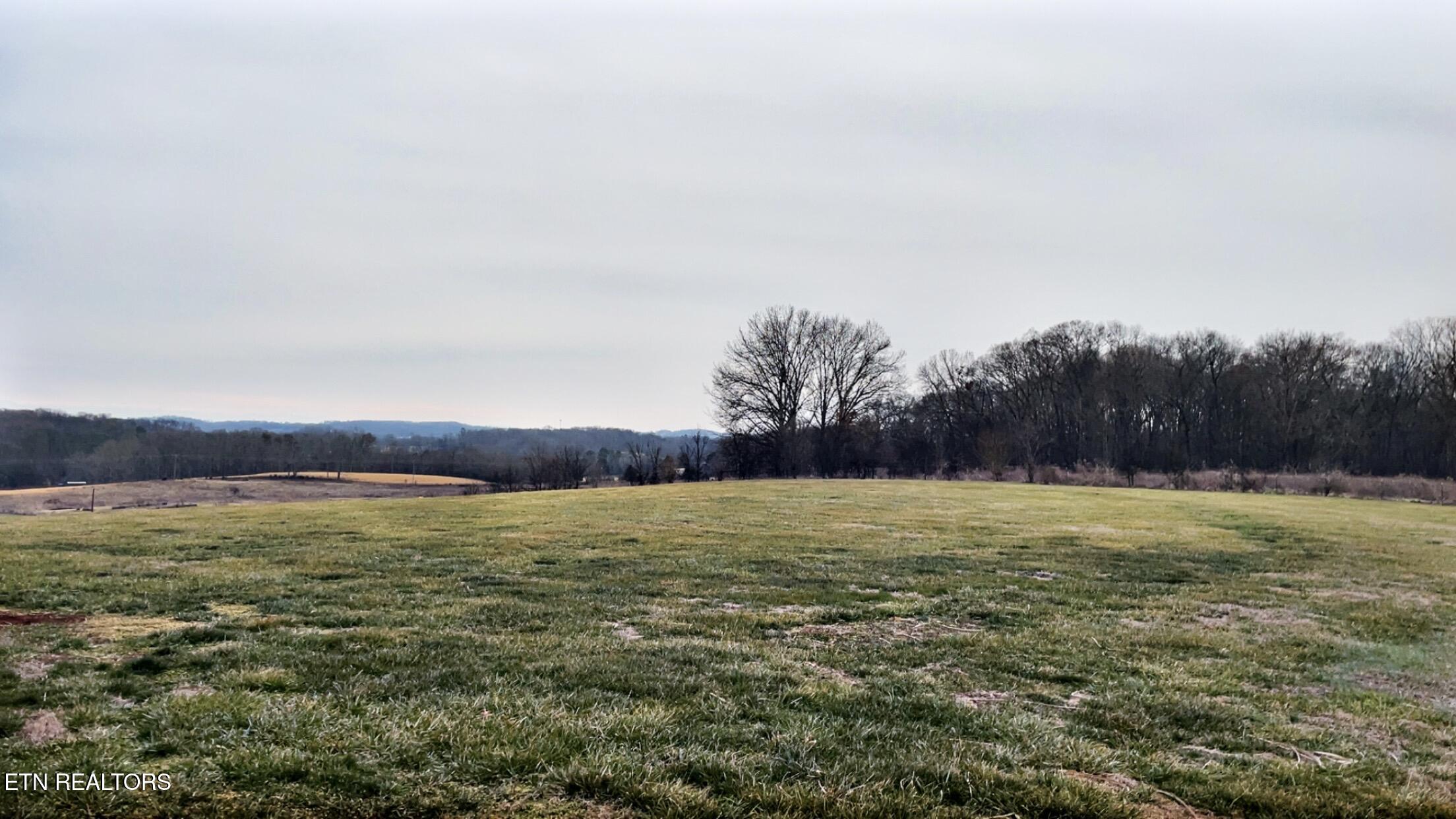 765 Longview Drive Greenback, TN 37742 - Photo 13 of 60 IMG_3023