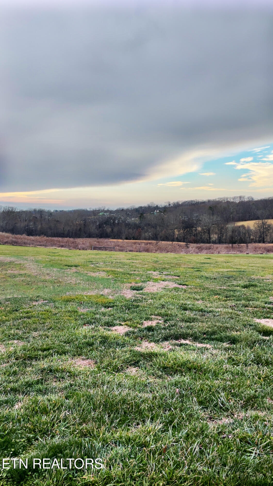 765 Longview Drive Greenback, TN 37742 - Photo 19 of 60 IMG_2830