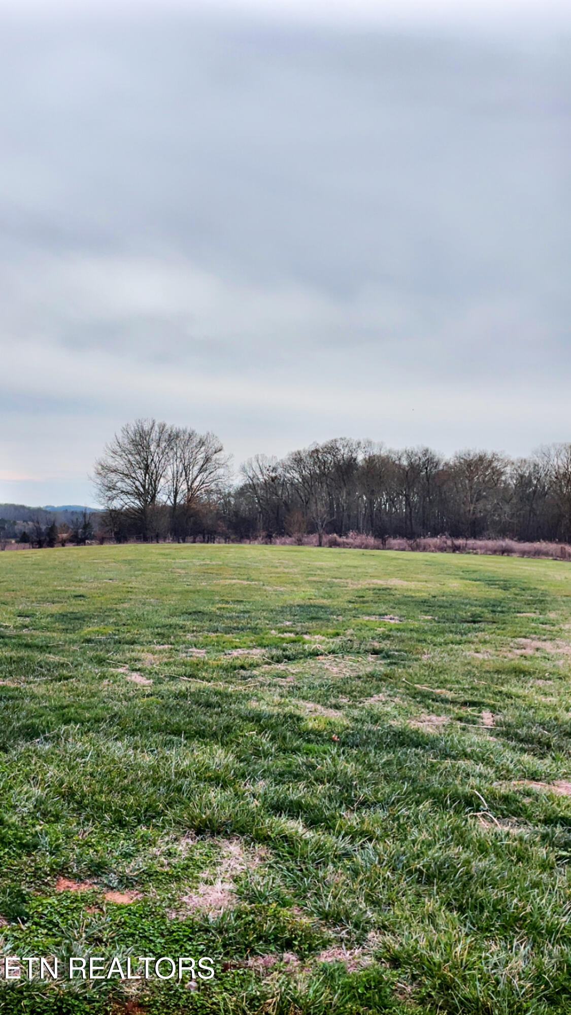 765 Longview Drive Greenback, TN 37742 - Photo 20 of 60 IMG_2829