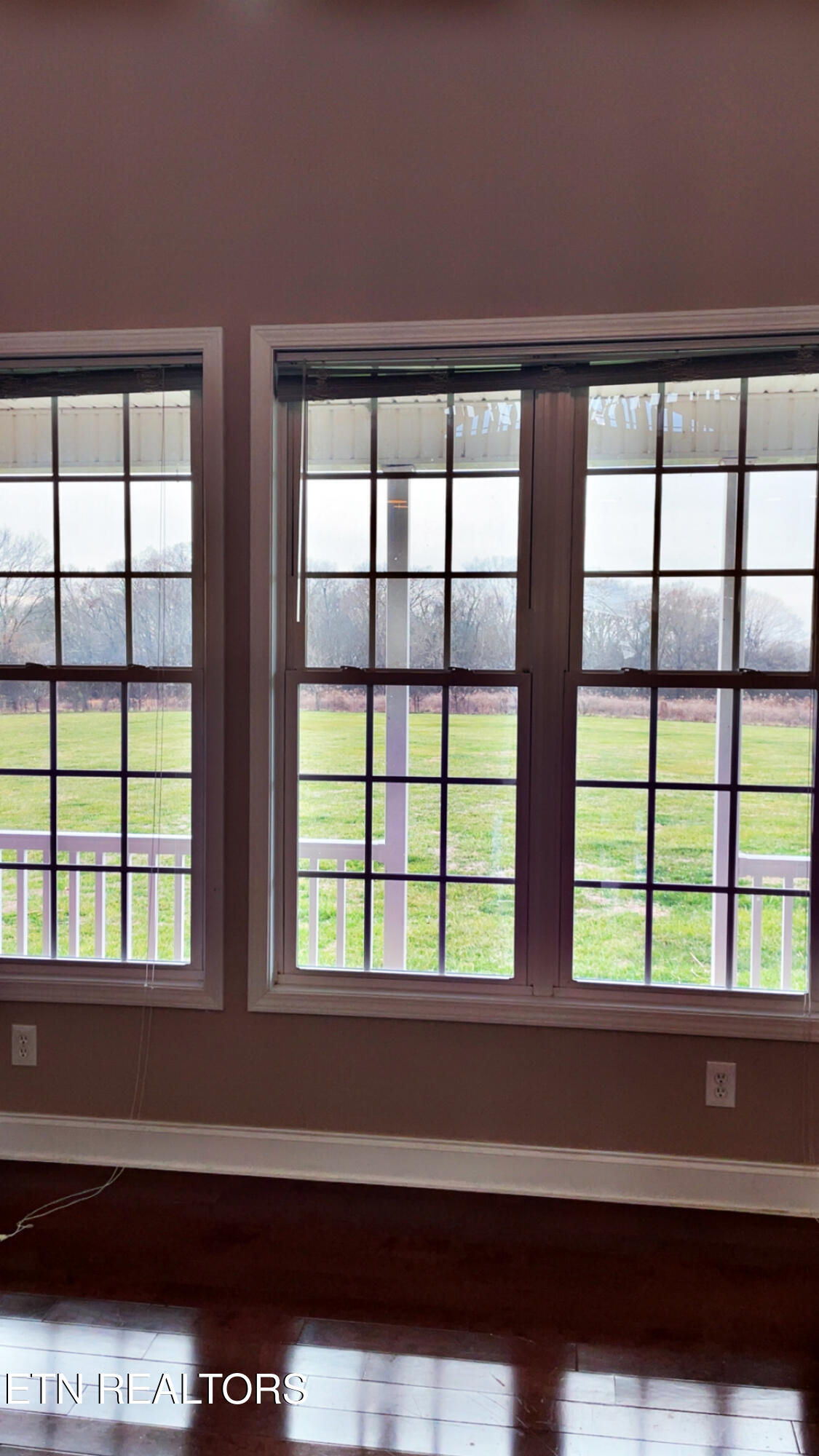 765 Longview Drive Greenback, TN 37742 - Photo 22 of 60 IMG_2796