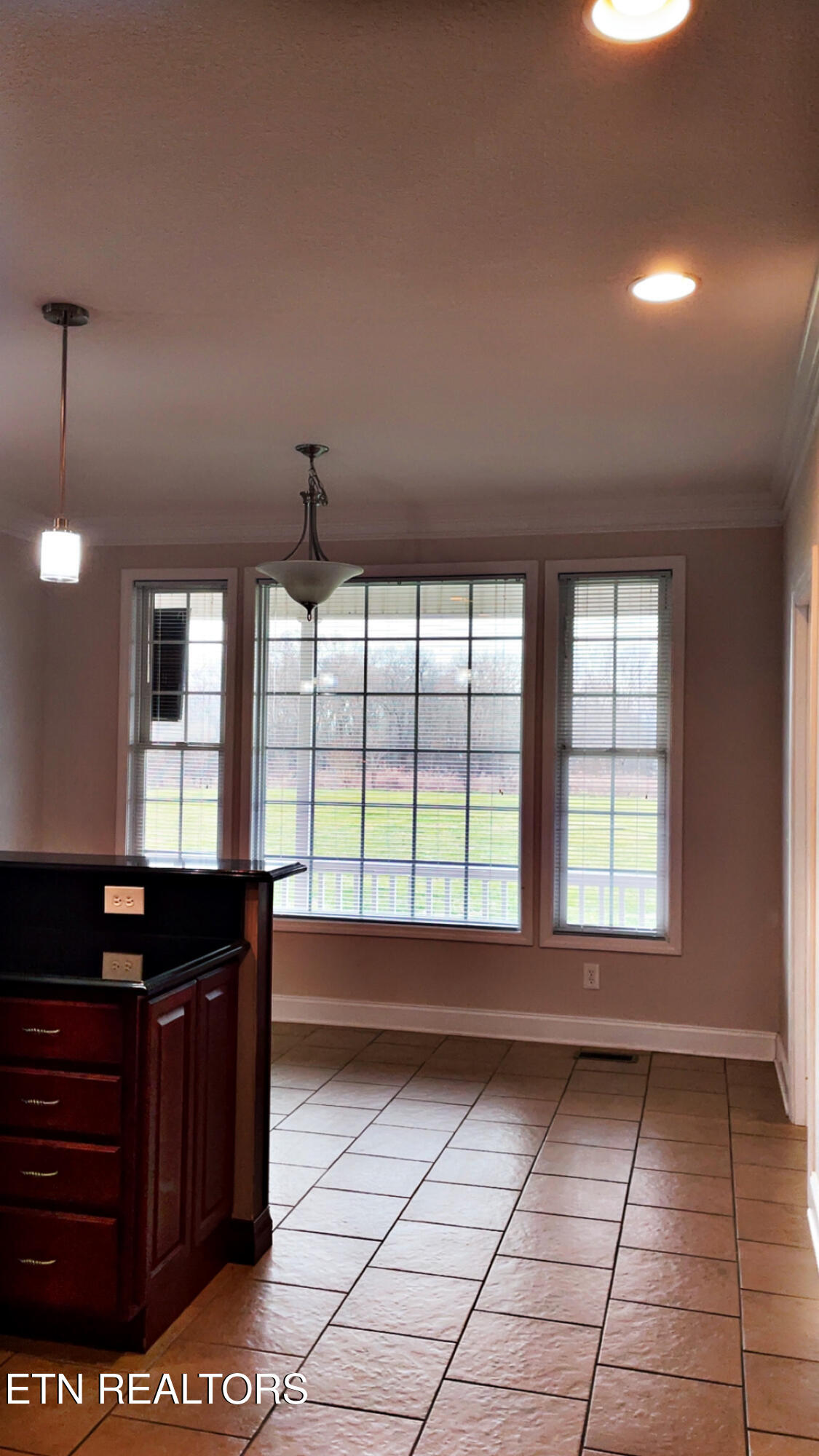 765 Longview Drive Greenback, TN 37742 - Photo 29 of 60 IMG_2786