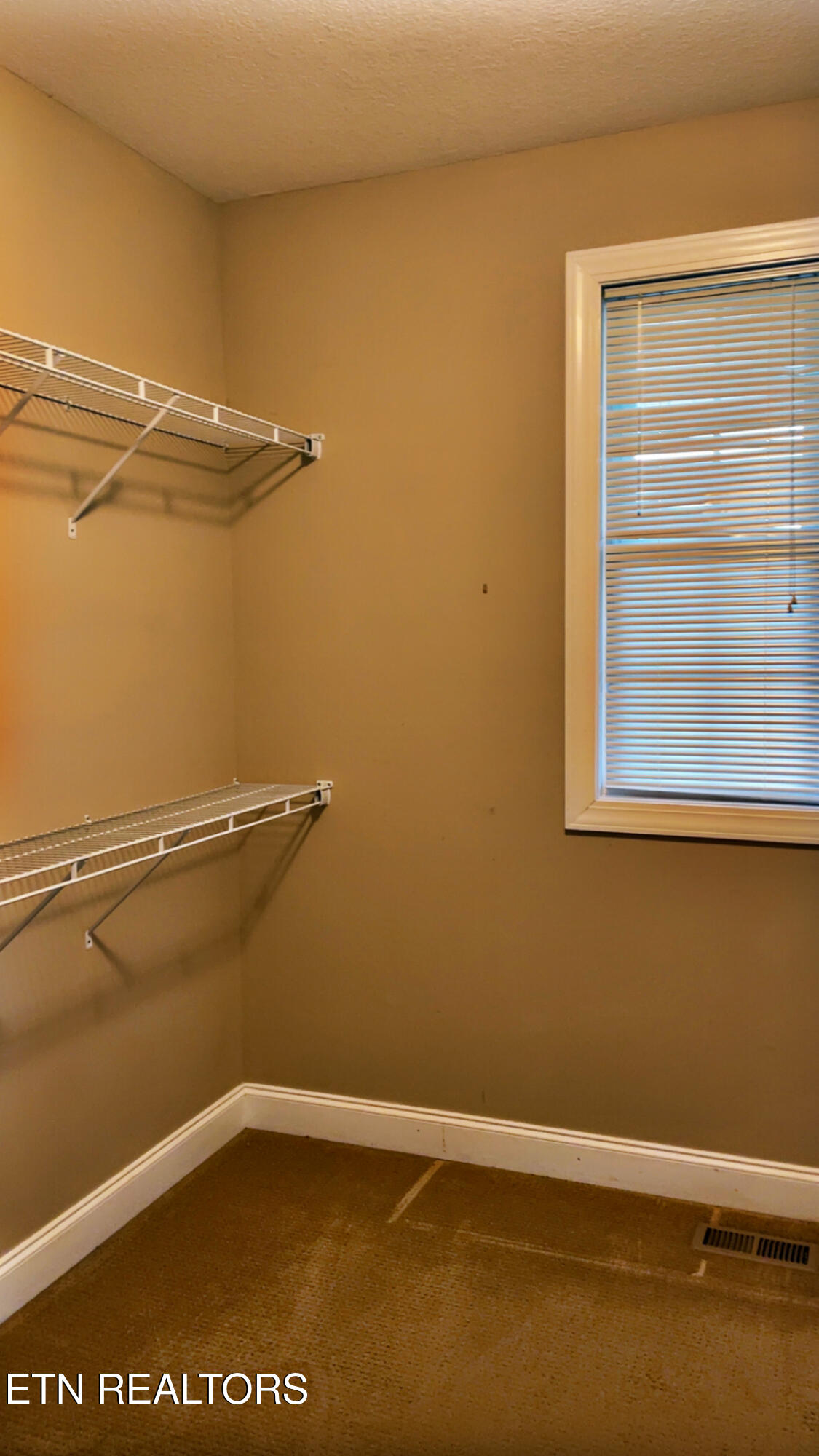 765 Longview Drive Greenback, TN 37742 - Photo 37 of 60 IMG_2798