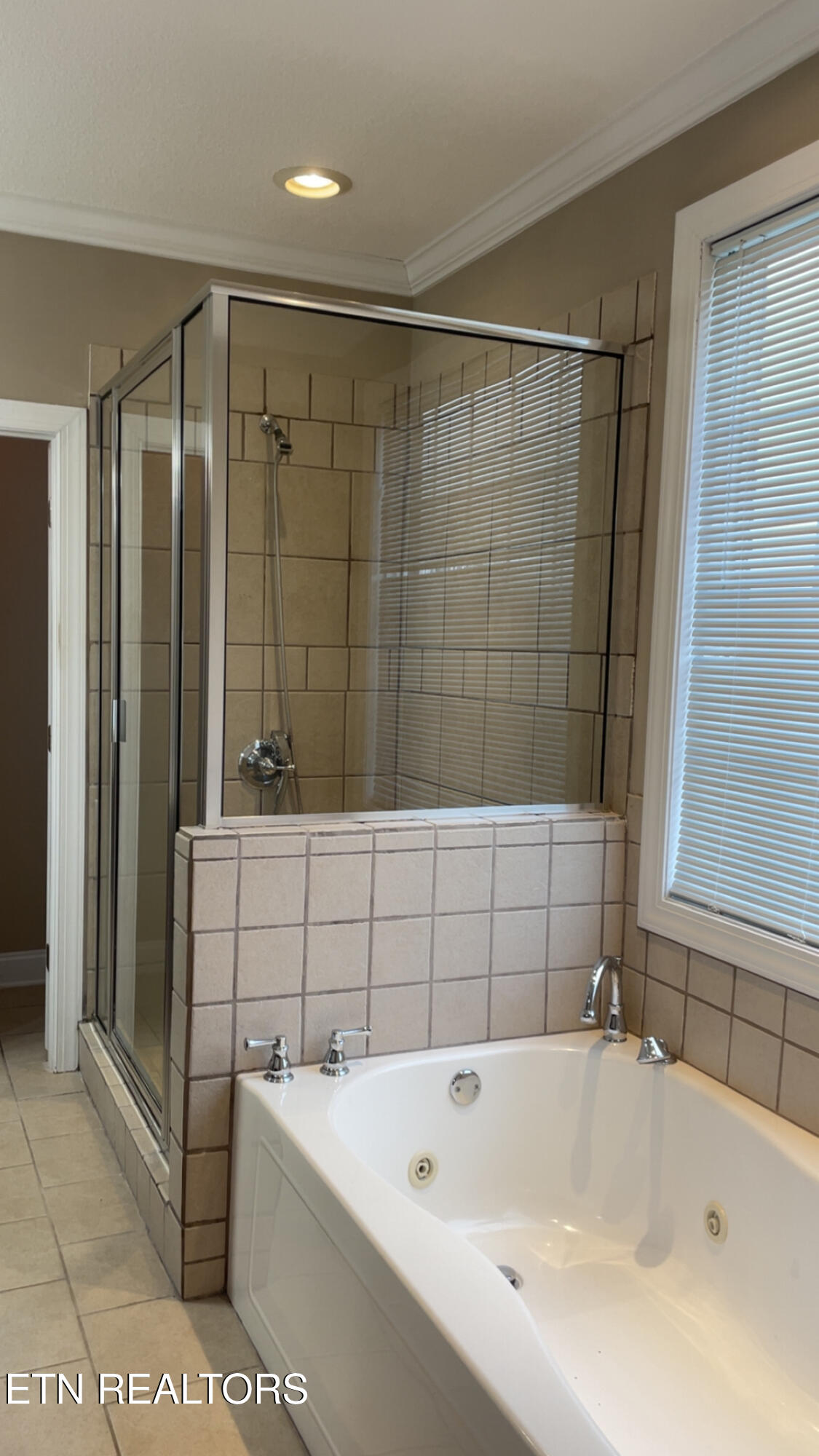 765 Longview Drive Greenback, TN 37742 - Photo 40 of 60 IMG_2801