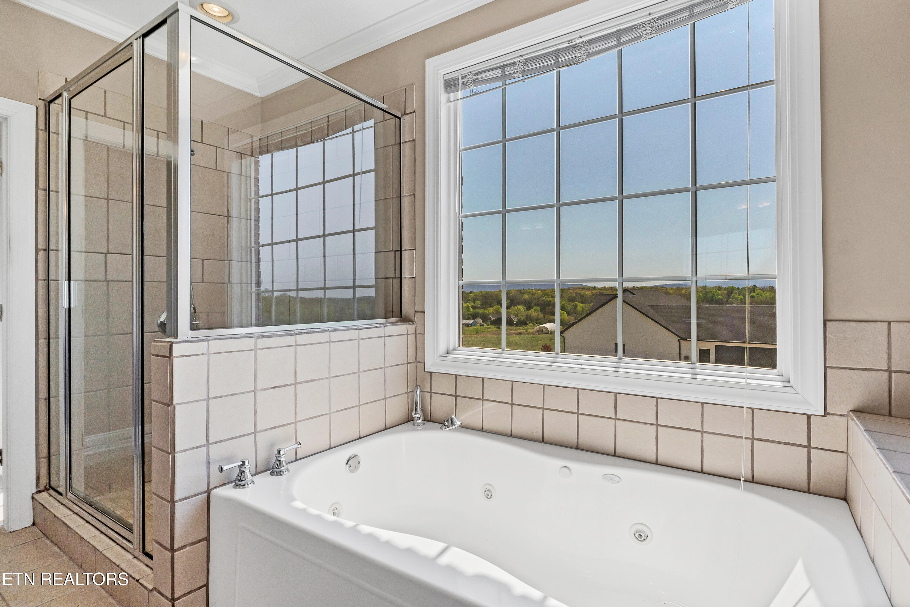765 Longview Drive Greenback, TN 37742 - Photo 43 of 60 DSC09437