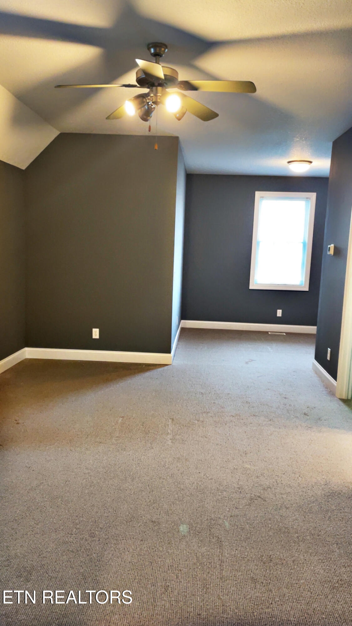 765 Longview Drive Greenback, TN 37742 - Photo 48 of 60 IMG_2808