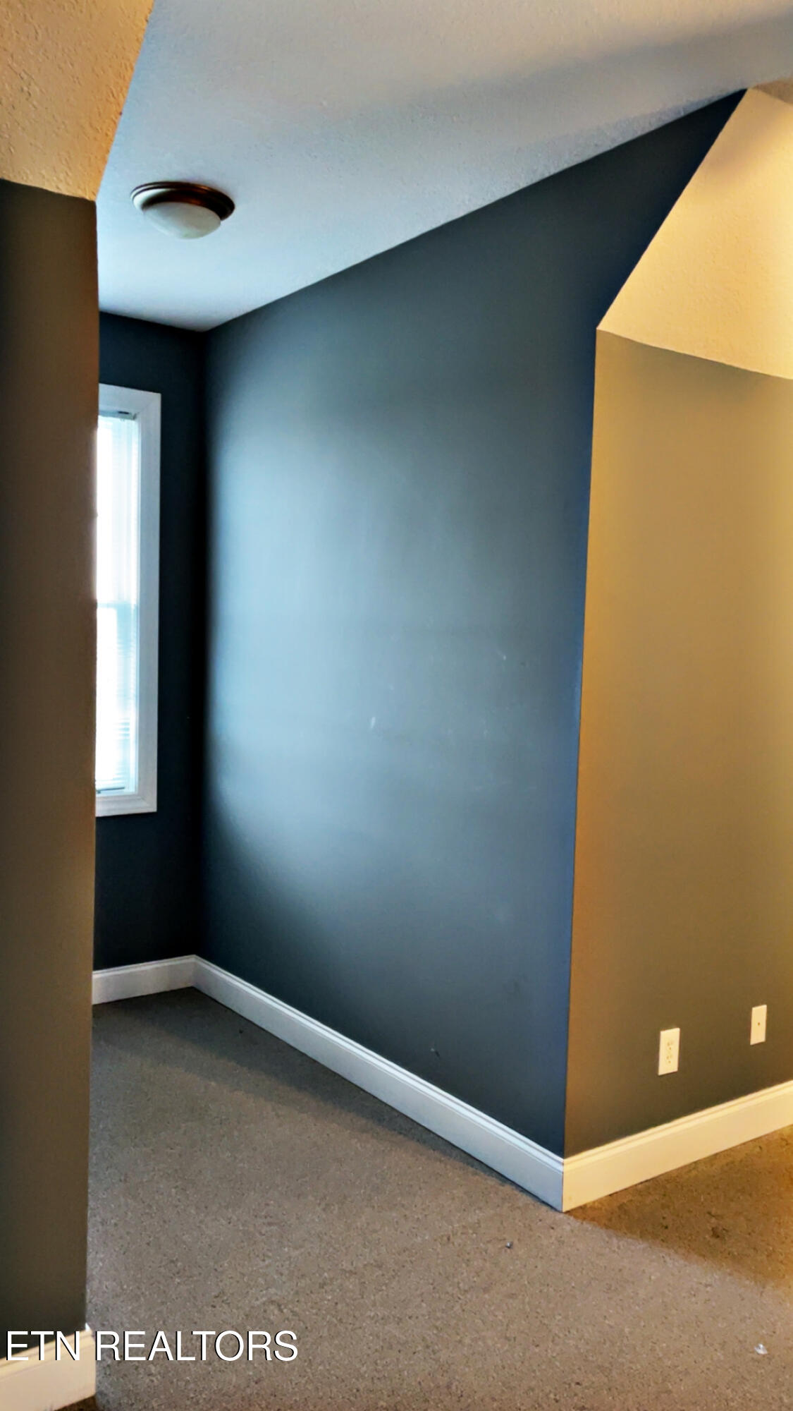 765 Longview Drive Greenback, TN 37742 - Photo 49 of 60 IMG_2809