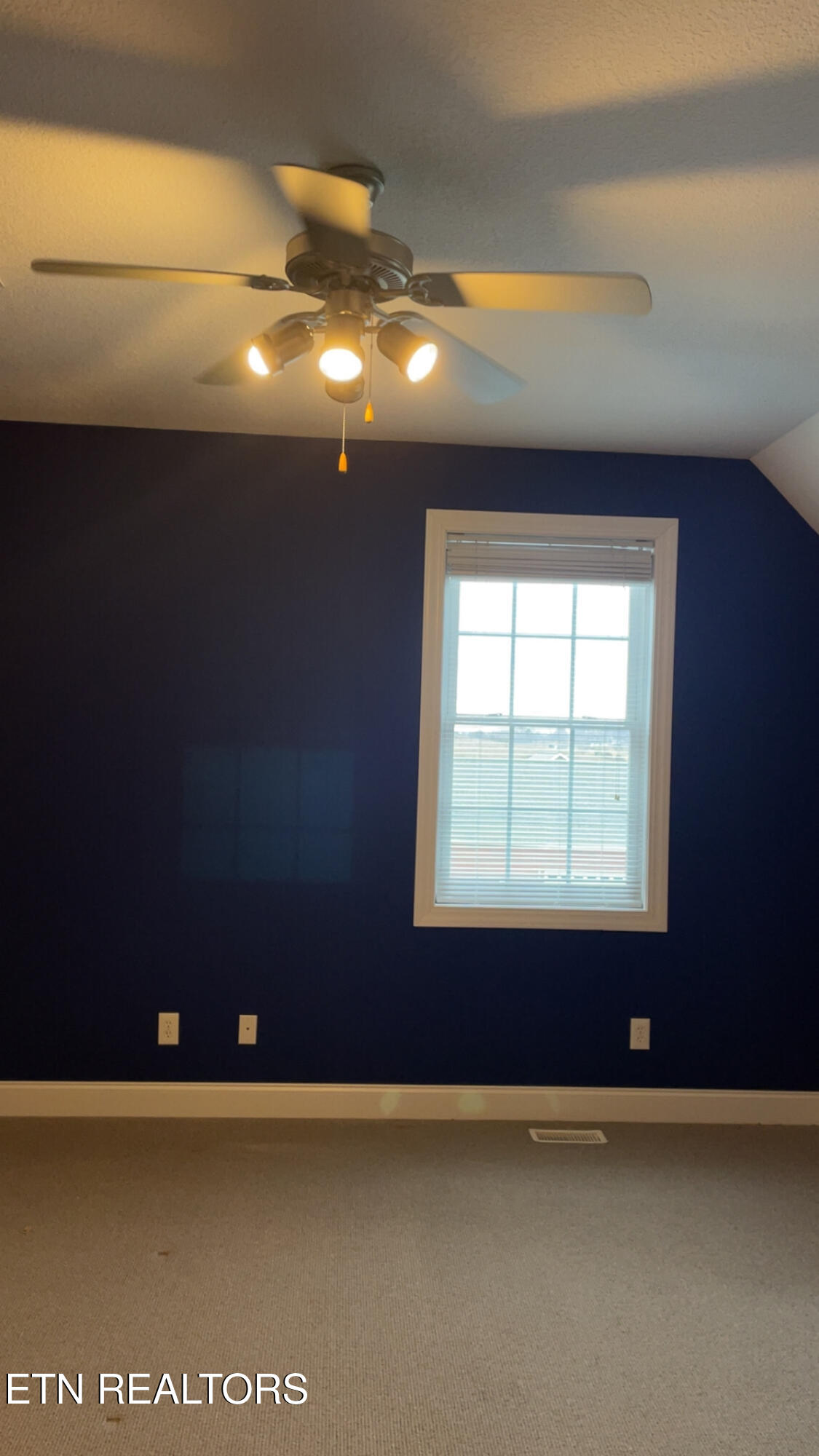 765 Longview Drive Greenback, TN 37742 - Photo 52 of 60 IMG_2817