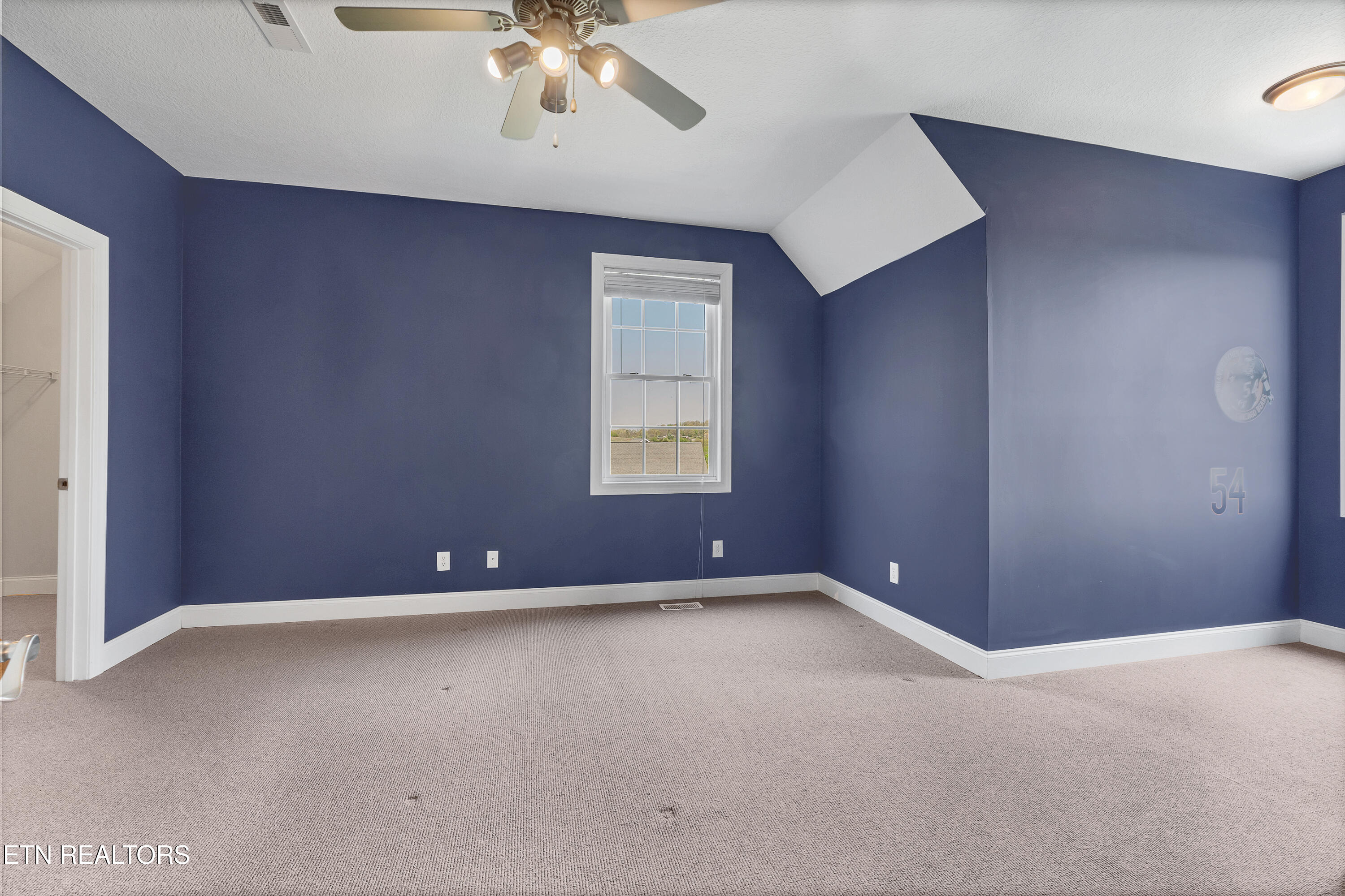 765 Longview Drive Greenback, TN 37742 - Photo 52 of 60 DSC09552