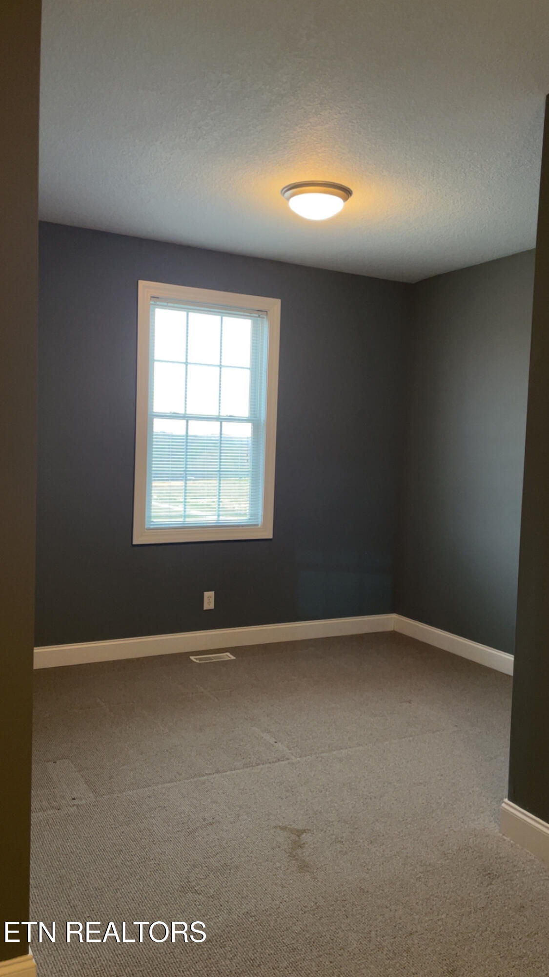 765 Longview Drive Greenback, TN 37742 - Photo 53 of 60 IMG_2810