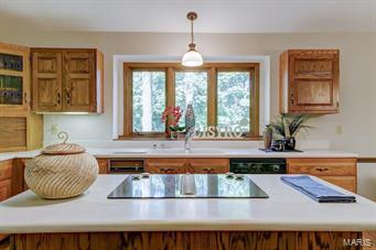 1635 Trotting Trail Road Chesterfield, MO 63005 - Photo 9 of 41 Gallery Image 9
