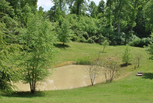 89 Reservoir Road Norris, TN 37828 - Photo 22 of 23 Additional Photo