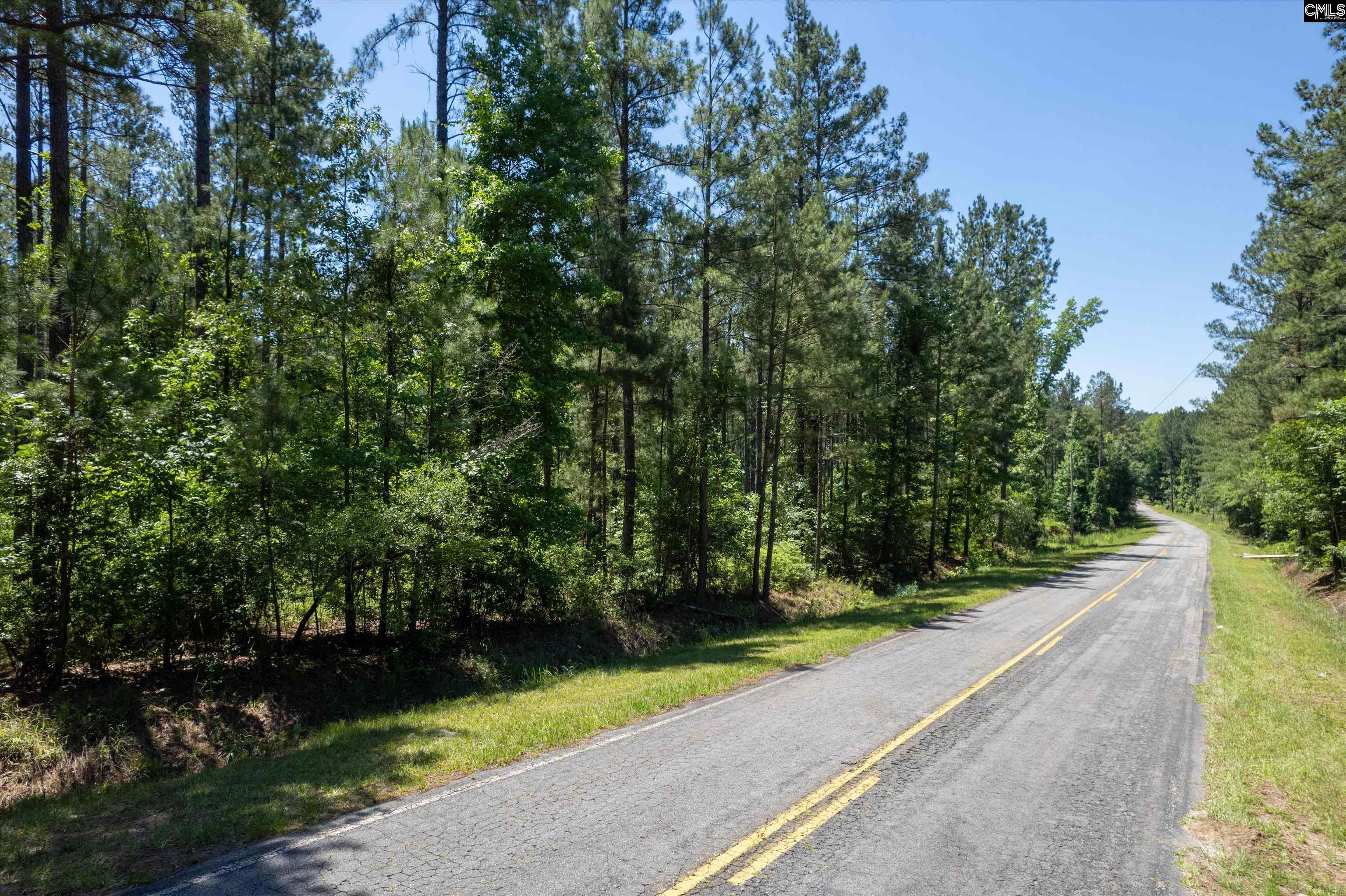 Tbd Toms Creek Road Eastover, SC 29044 - Photo 2 of 10 a view of a street with a trees