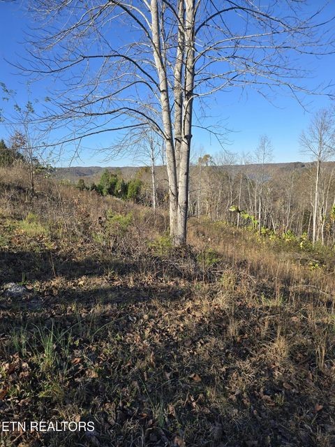 0 Stoney Point Byrdstown, TN 38549 - Photo 11 of 11 a view of a yard with wooden fence