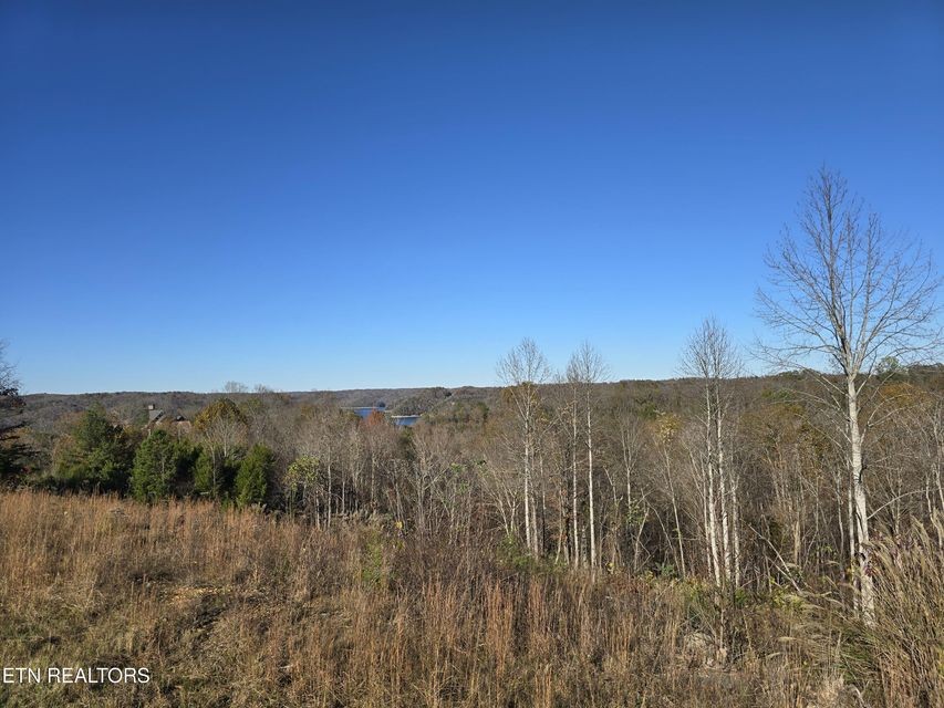 0 Stoney Point Byrdstown, TN 38549 - Photo 2 of 11 a view of a dry yard with wooden fence