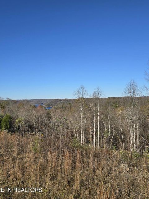 0 Stoney Point Byrdstown, TN 38549 - Photo 3 of 11 a view of a dry yard with wooden fence