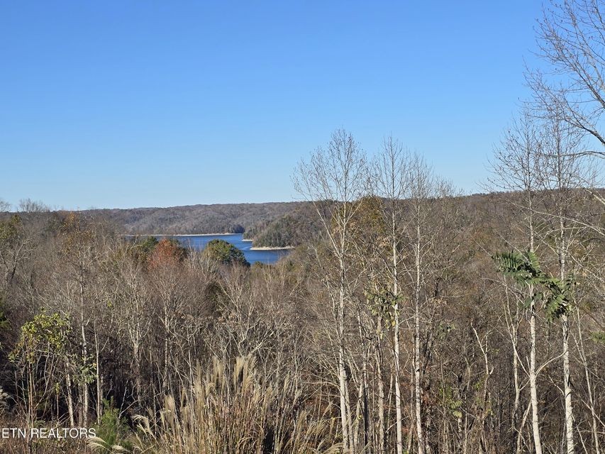 0 Stoney Point Byrdstown, TN 38549 - Photo 5 of 11 a view of a dry yard with wooden fence