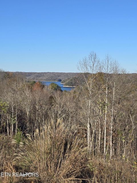 0 Stoney Point Byrdstown, TN 38549 - Photo 6 of 11