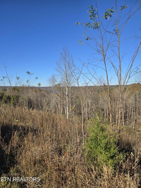0 Stoney Point Byrdstown, TN 38549 - Photo 7 of 11 a view of a dry yard