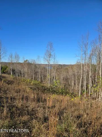 a view of a backyard of the house