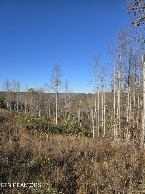 0 Stoney Point Byrdstown, TN 38549 - Photo 9 of 11 a view of a backyard of the house
