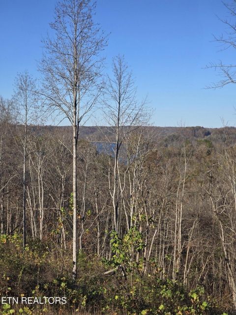 0 Stoney Point Byrdstown, TN 38549 - Photo 10 of 11 a view of a backyard