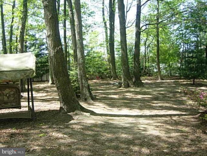 975 Shady Beach Road Elkton, MD 21921 - Photo 3 of 11 Back yard