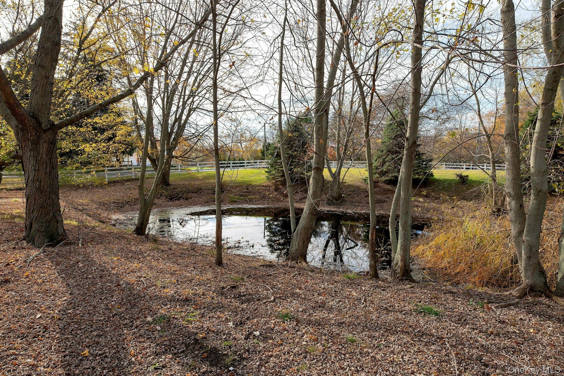 1760 Albertson Lane Greenport, NY 11944 - Photo 30 of 40 Watering Hole