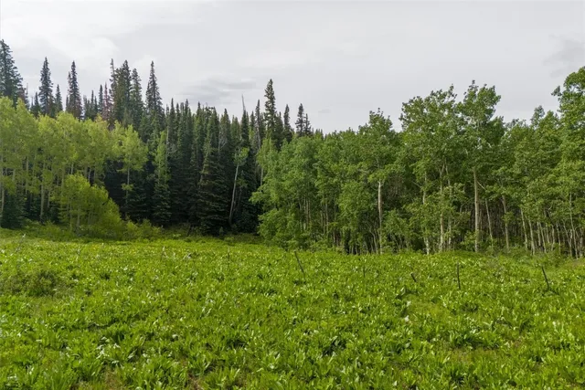 $170,000 | 187 Gcr 285, Kremmling, CO 80459