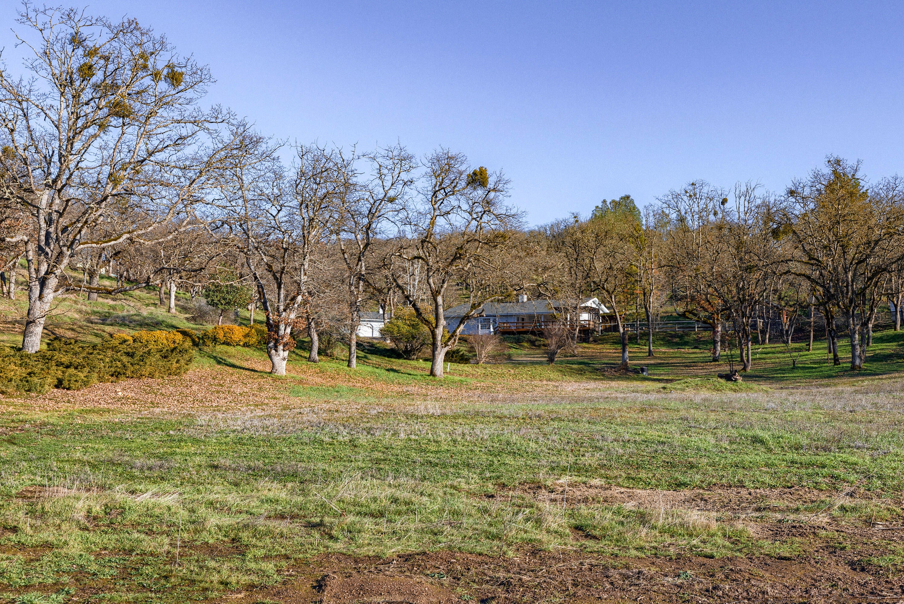 6150 Tolo Road Central Point, OR 97502 - Photo 48 of 51 49