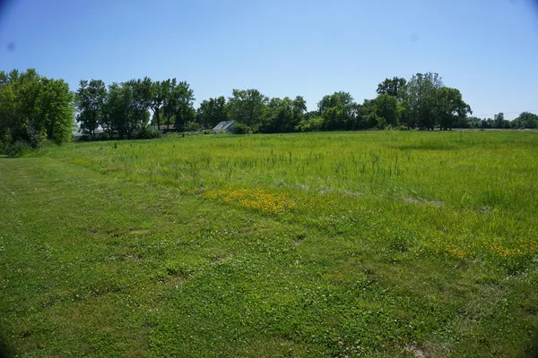a view of a grassy field with trees in the background