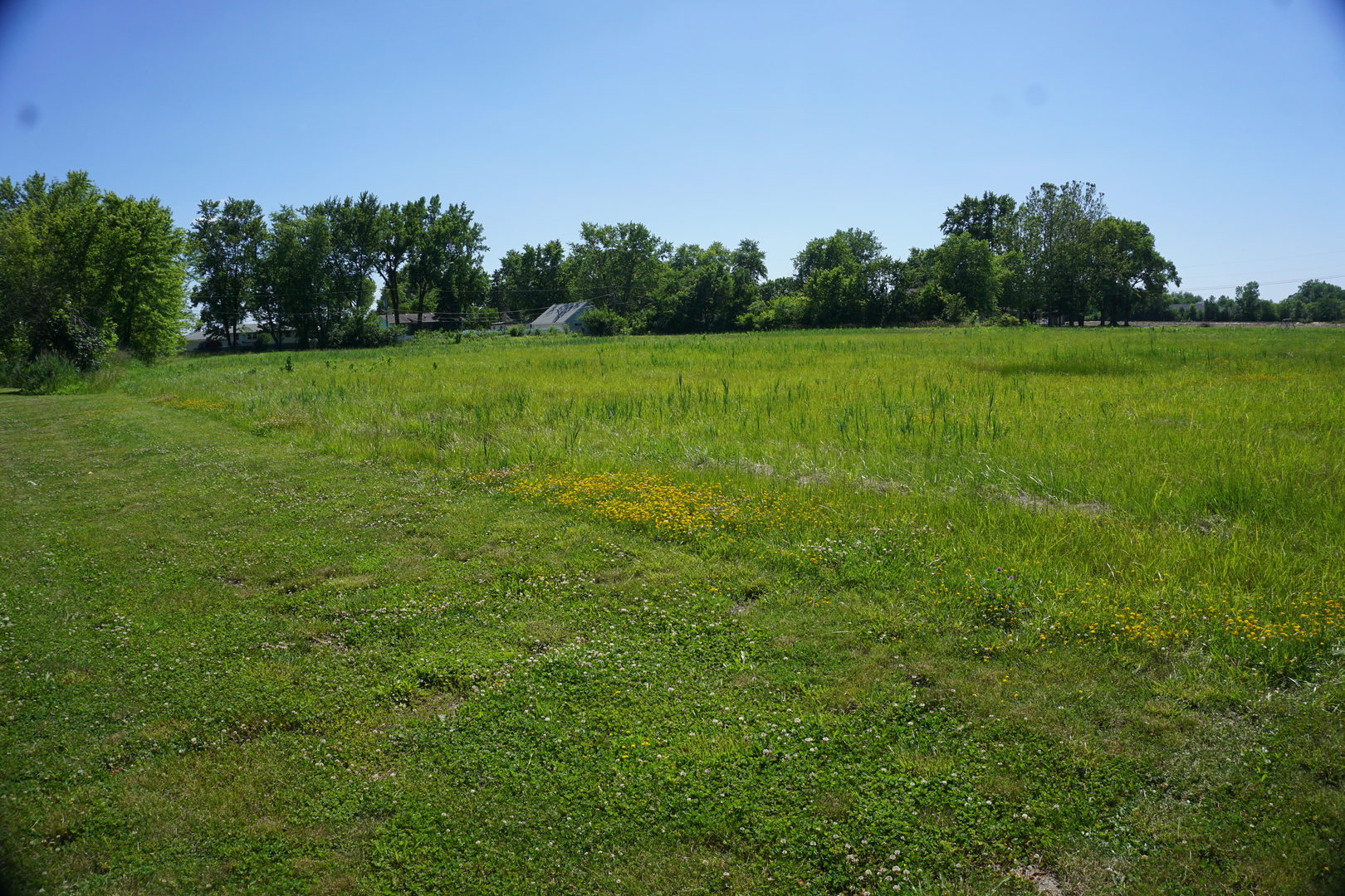 0 East Division Street Diamond, IL 60416 - Photo 4 of 7 a view of a grassy field with trees in the background