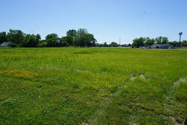 a view of a grassy field with trees in the background