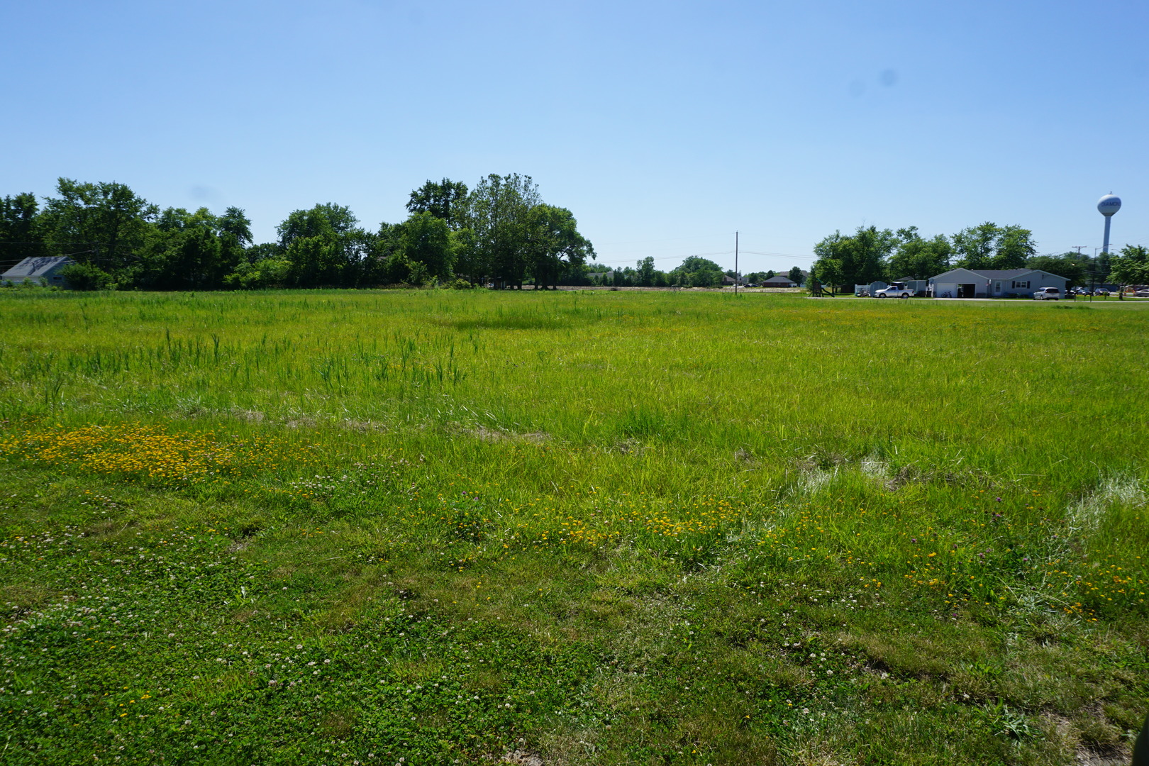 0 East Division Street Diamond, IL 60416 - Photo 5 of 7 a view of a grassy field with trees in the background