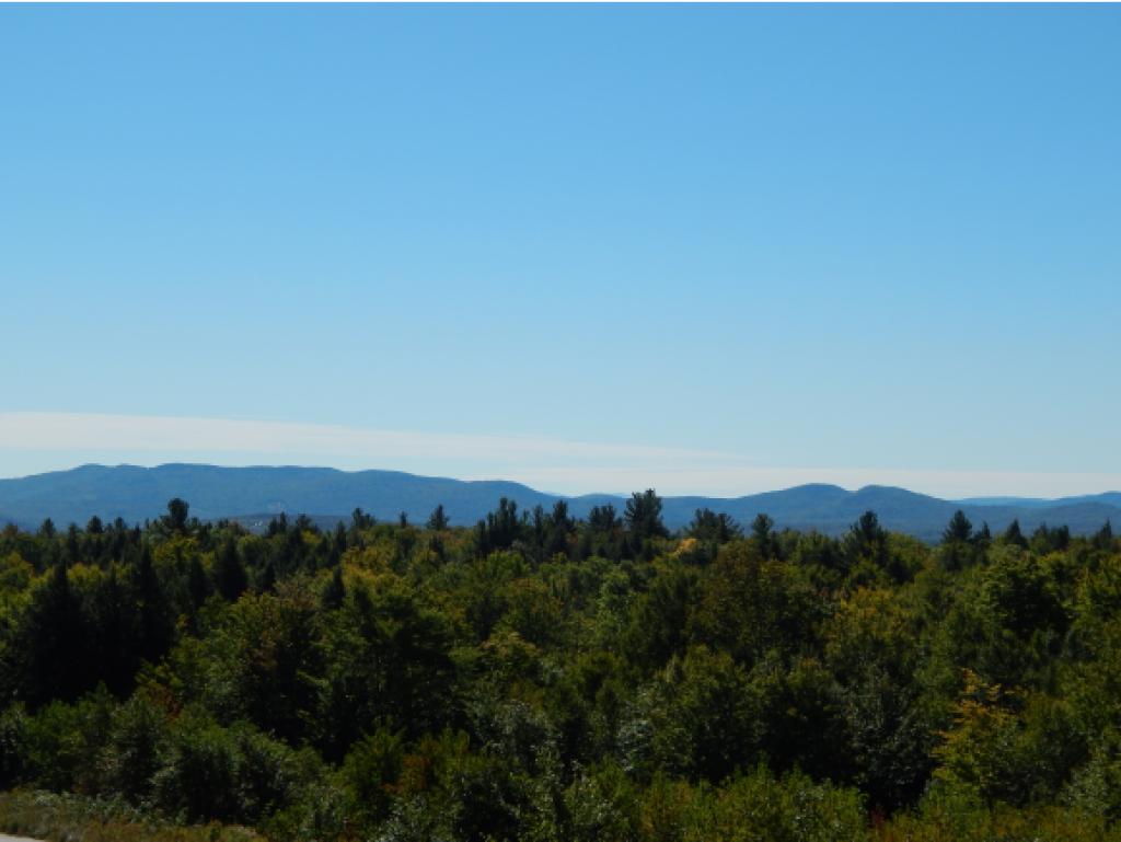 57 Meadow Road Newbury, NH 03255 - Photo 5 of 28