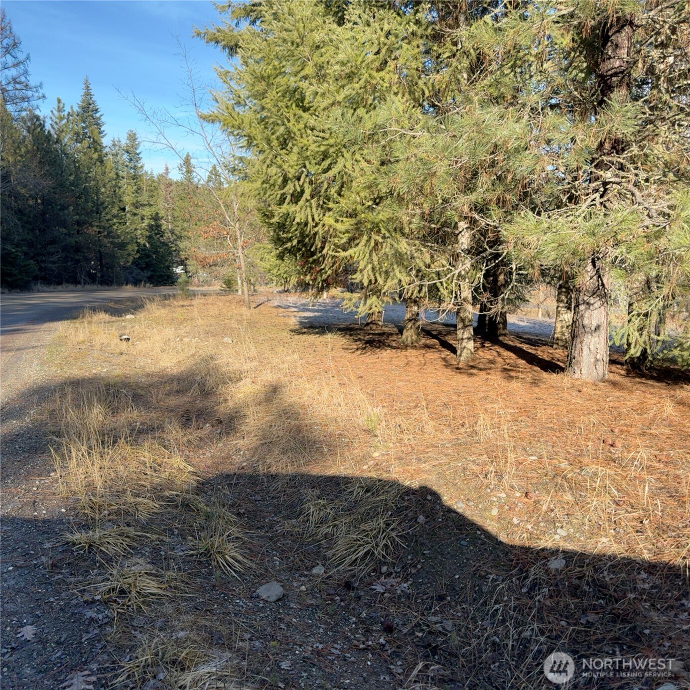 331 Corbett Creek Road Colville, WA 99114 - Photo 21 of 29