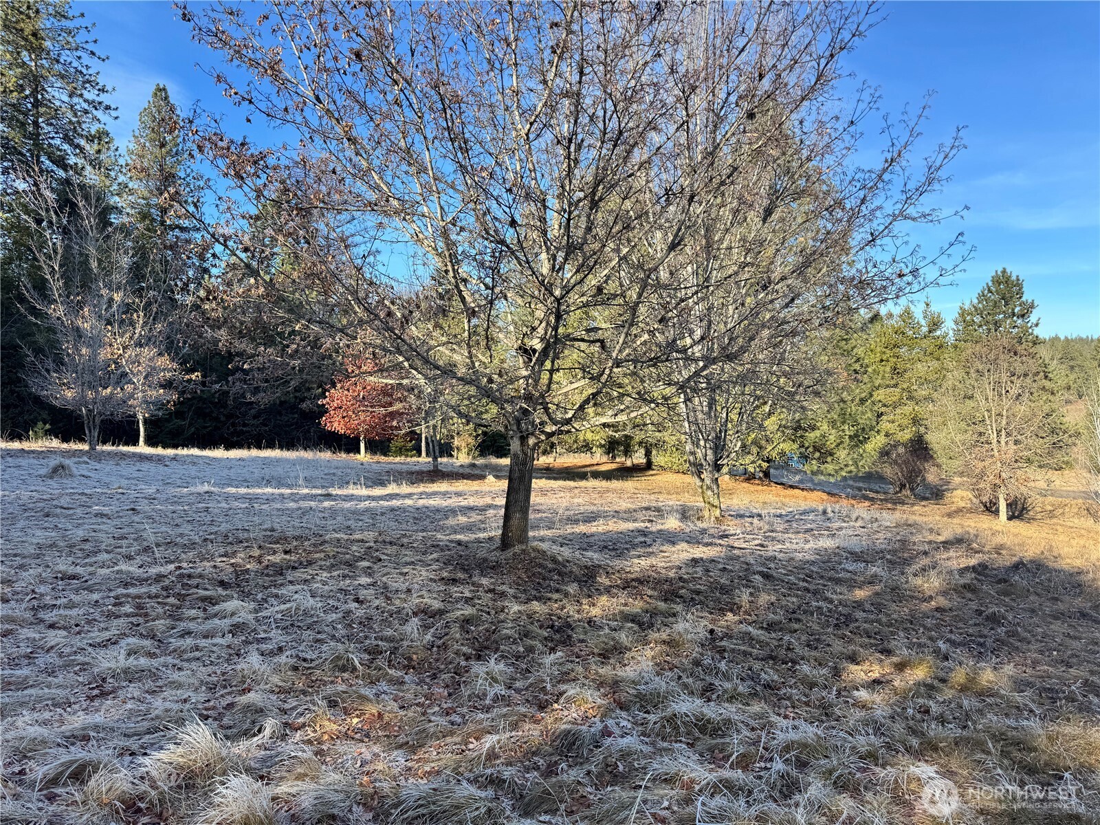 331 Corbett Creek Road Colville, WA 99114 - Photo 22 of 29